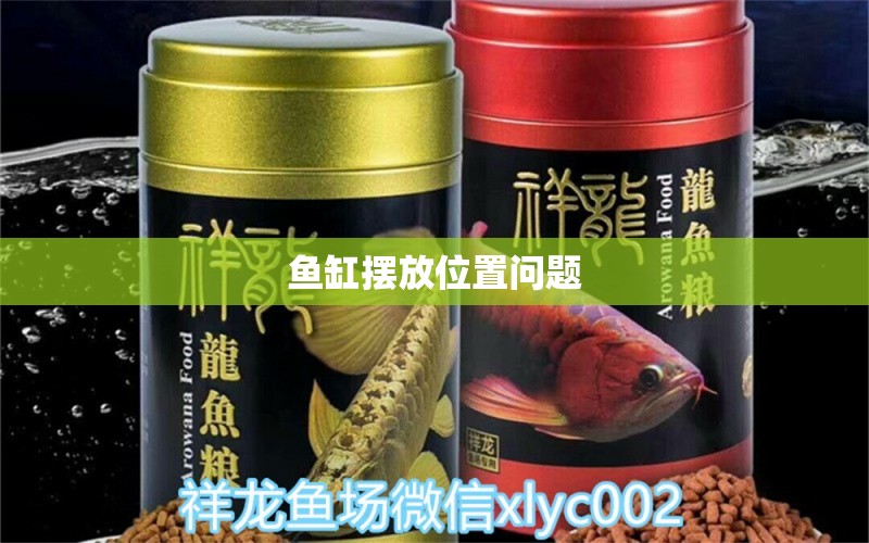 魚(yú)缸擺放位置問(wèn)題 觀賞魚(yú)論壇 第2張