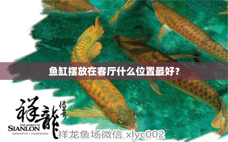 魚缸擺放在客廳什么位置最好？ 黑白雙星魚