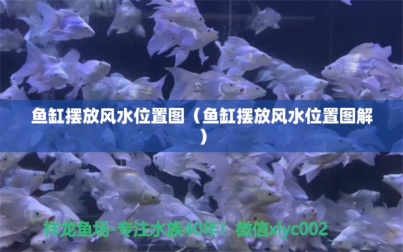 魚(yú)缸擺放風(fēng)水位置圖（魚(yú)缸擺放風(fēng)水位置圖解）