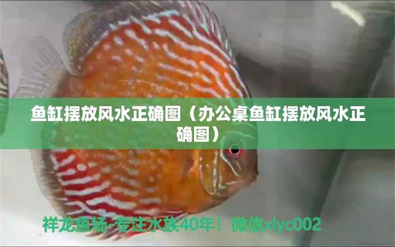 魚缸擺放風(fēng)水正確圖（辦公桌魚缸擺放風(fēng)水正確圖） 魚缸風(fēng)水