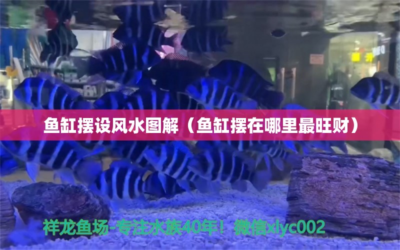 魚缸擺設(shè)風(fēng)水圖解（魚缸擺在哪里最旺財）