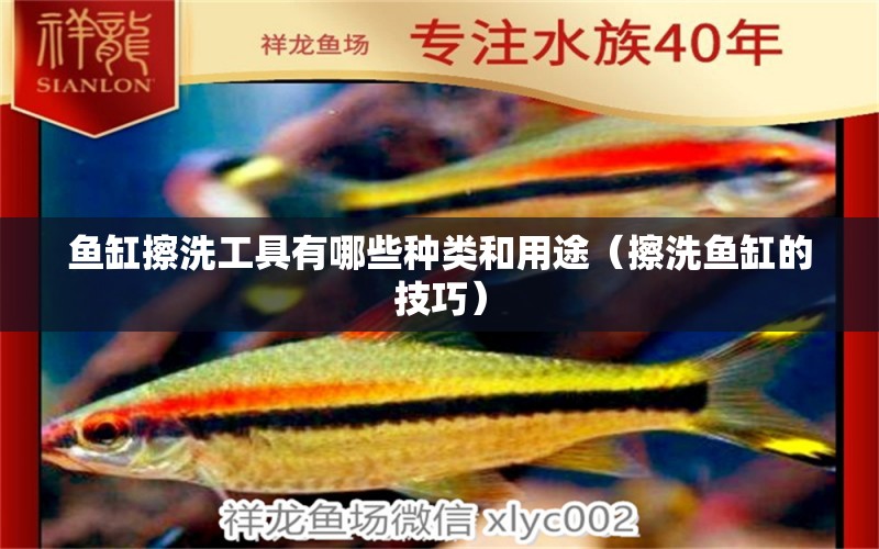 魚缸擦洗工具有哪些種類和用途（擦洗魚缸的技巧）