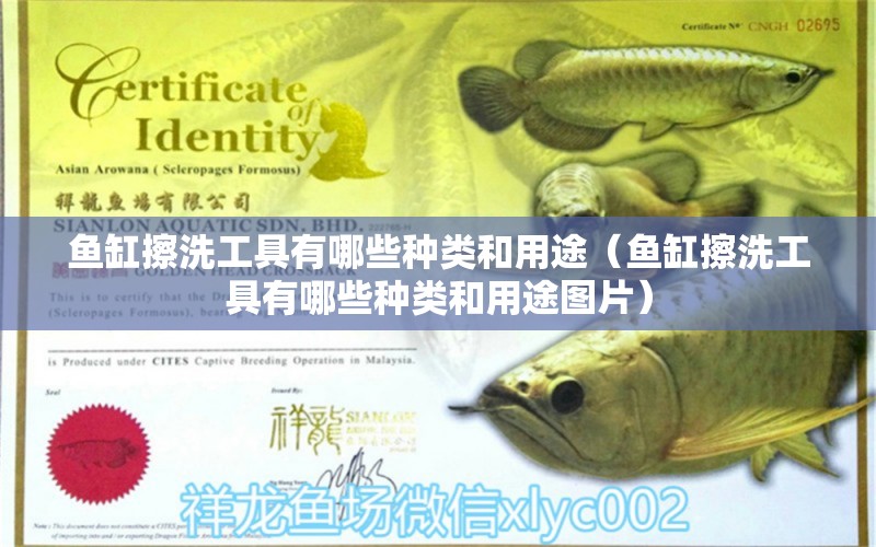 魚缸擦洗工具有哪些種類和用途（魚缸擦洗工具有哪些種類和用途圖片）