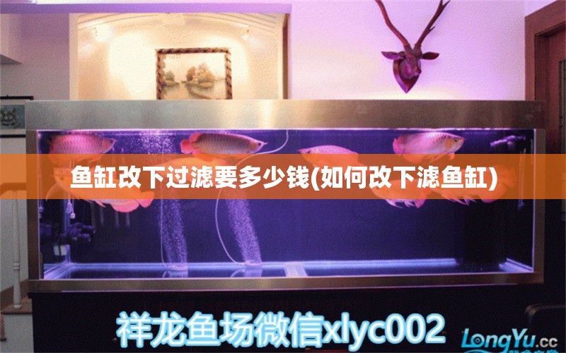 魚缸改下過濾要多少錢(如何改下濾魚缸) 小型觀賞魚