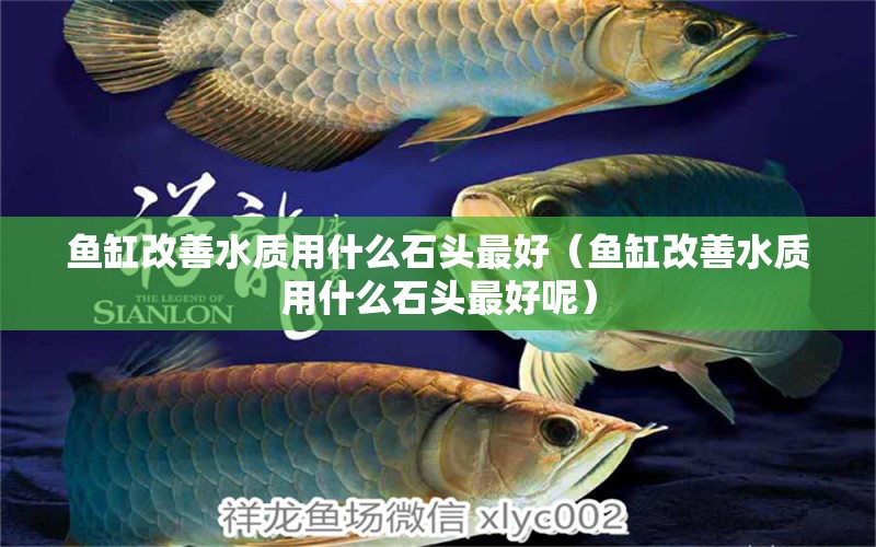 魚缸改善水質(zhì)用什么石頭最好（魚缸改善水質(zhì)用什么石頭最好呢）