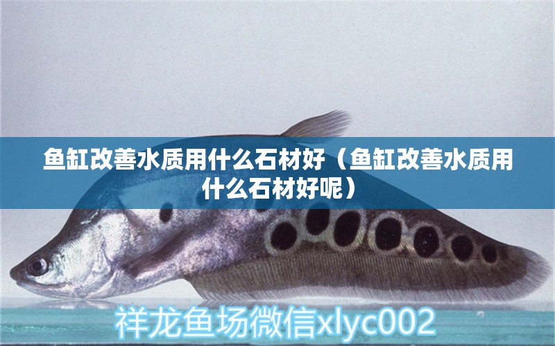 魚缸改善水質(zhì)用什么石材好（魚缸改善水質(zhì)用什么石材好呢）