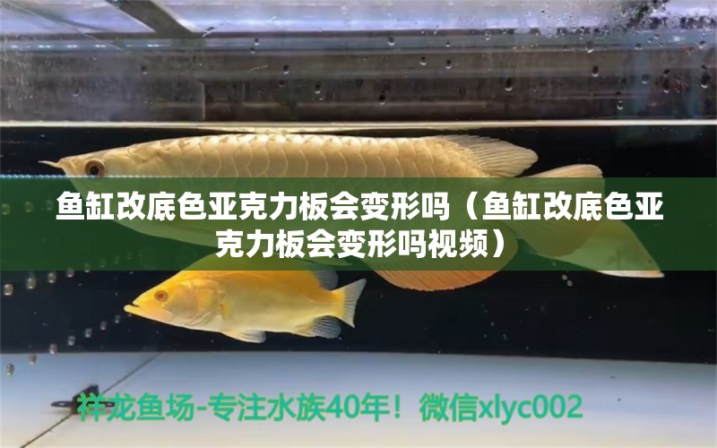 魚缸改底色亞克力板會(huì)變形嗎（魚缸改底色亞克力板會(huì)變形嗎視頻） 虎紋銀版魚