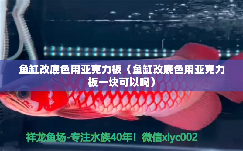 魚缸改底色用亞克力板（魚缸改底色用亞克力板一塊可以嗎）