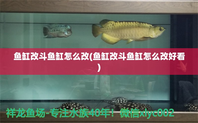 魚缸改斗魚缸怎么改(魚缸改斗魚缸怎么改好看) 觀賞魚魚苗