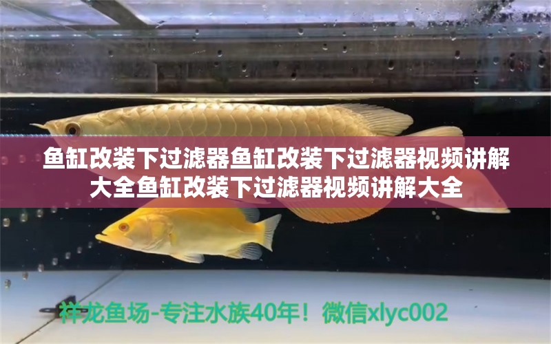 魚缸改裝下過濾器魚缸改裝下過濾器視頻講解大全魚缸改裝下過濾器視頻講解大全