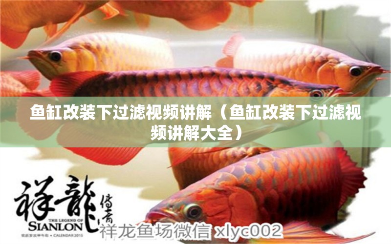 魚缸改裝下過濾視頻講解（魚缸改裝下過濾視頻講解大全）