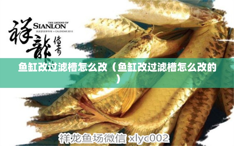 魚(yú)缸改過(guò)濾槽怎么改（魚(yú)缸改過(guò)濾槽怎么改的）