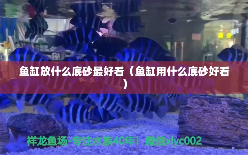 魚(yú)缸放什么底砂最好看（魚(yú)缸用什么底砂好看） 泰龐海蓮魚(yú)