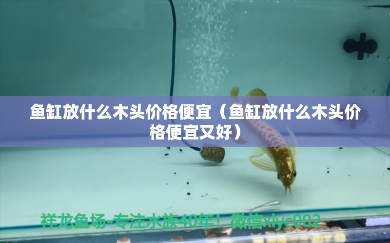 魚缸放什么木頭價(jià)格便宜（魚缸放什么木頭價(jià)格便宜又好） 其他品牌魚缸