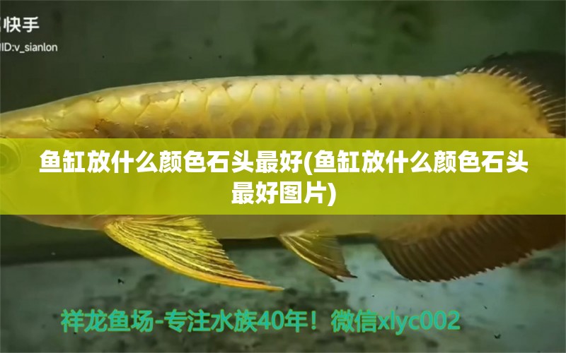 魚缸放什么顏色石頭最好(魚缸放什么顏色石頭最好圖片) 觀賞魚 第1張