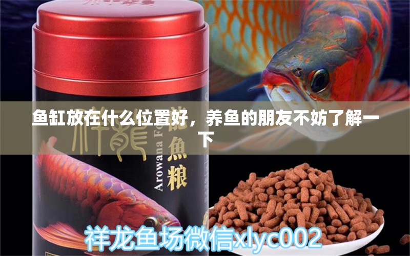 魚缸放在什么位置好，養(yǎng)魚的朋友不妨了解一下 福魟魟魚