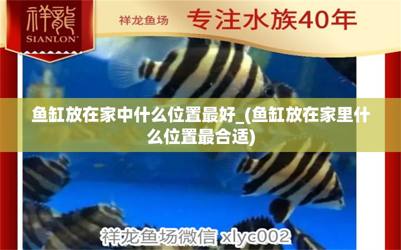 魚缸放在家中什么位置最好_(魚缸放在家里什么位置最合適) 祥龍水族濾材/器材