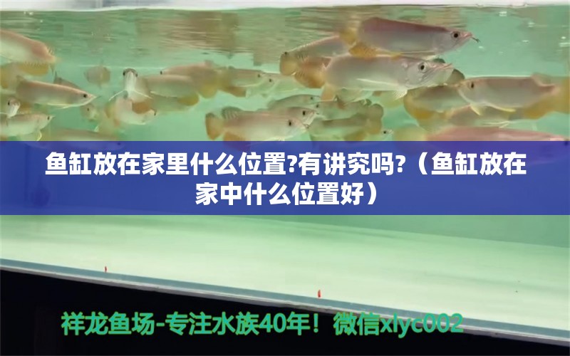 魚缸放在家里什么位置?有講究嗎?（魚缸放在家中什么位置好） 廣州觀賞魚批發(fā)市場