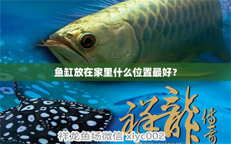 魚(yú)缸放在家里什么位置最好？