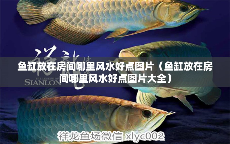 魚(yú)缸放在房間哪里風(fēng)水好點(diǎn)圖片（魚(yú)缸放在房間哪里風(fēng)水好點(diǎn)圖片大全） 魚(yú)缸風(fēng)水