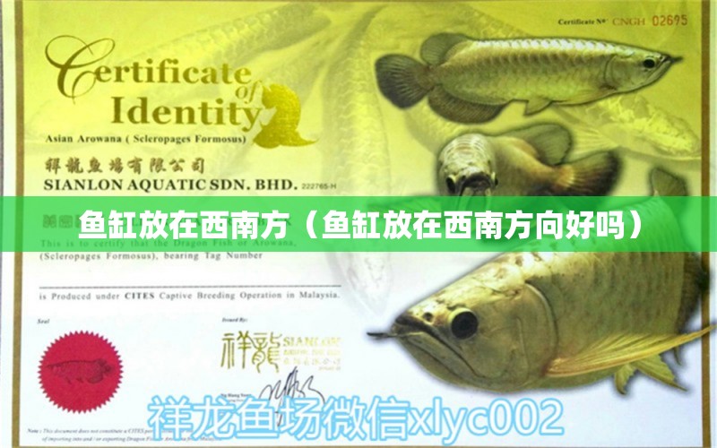 魚(yú)缸放在西南方（魚(yú)缸放在西南方向好嗎） 祥龍水族醫(yī)院