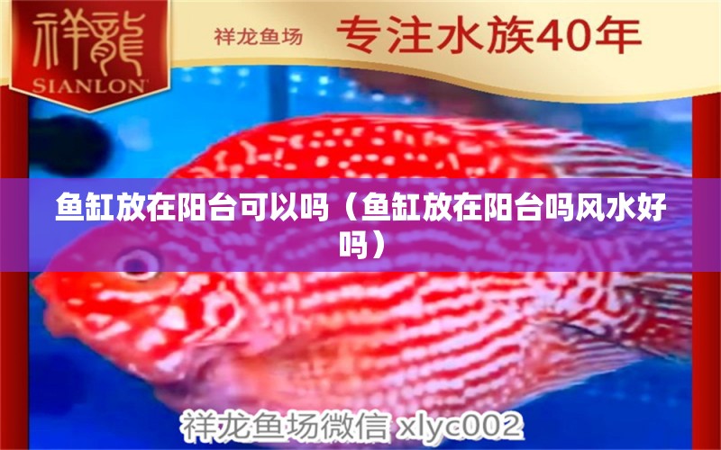 魚缸放在陽臺可以嗎（魚缸放在陽臺嗎風(fēng)水好嗎）