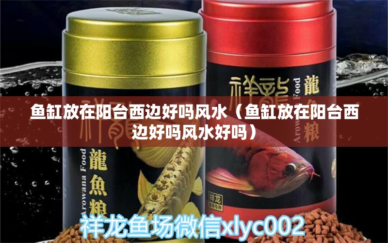 魚缸放在陽臺西邊好嗎風水（魚缸放在陽臺西邊好嗎風水好嗎） 魚缸風水