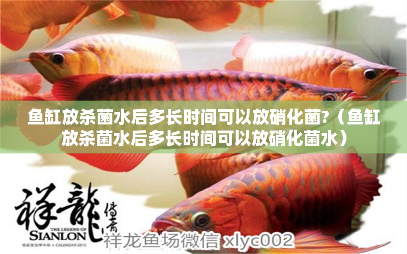 魚缸放殺菌水后多長時間可以放硝化菌?（魚缸放殺菌水后多長時間可以放硝化菌水）