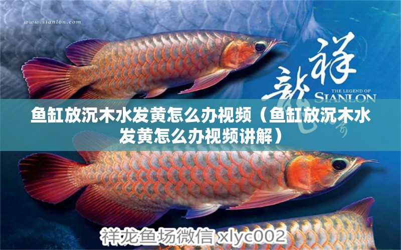 魚缸放沉木水發(fā)黃怎么辦視頻（魚缸放沉木水發(fā)黃怎么辦視頻講解） 其他品牌魚缸