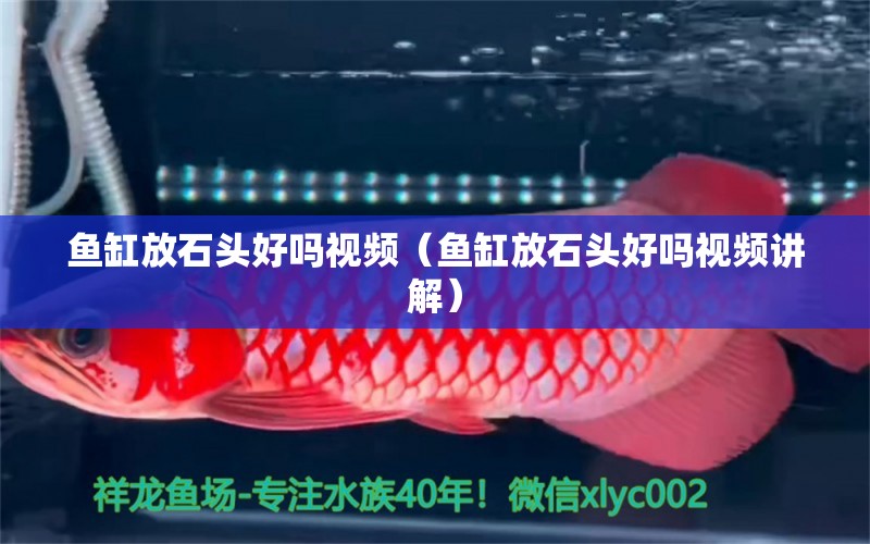 魚缸放石頭好嗎視頻（魚缸放石頭好嗎視頻講解） 其他品牌魚缸