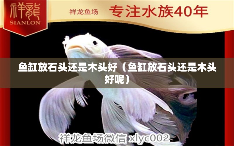 魚缸放石頭還是木頭好（魚缸放石頭還是木頭好呢） 其他品牌魚缸