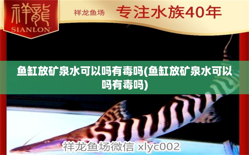 魚缸放礦泉水可以嗎有毒嗎(魚缸放礦泉水可以嗎有毒嗎) 熱帶魚魚苗批發(fā)