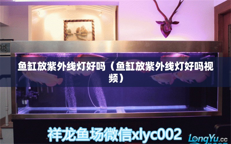 魚缸放紫外線燈好嗎（魚缸放紫外線燈好嗎視頻） 其他品牌魚缸