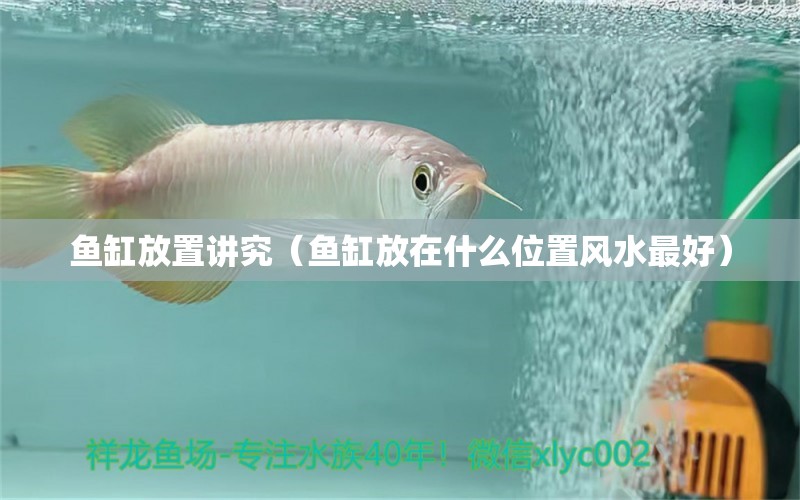 魚缸放置講究（魚缸放在什么位置風(fēng)水最好） 觀賞魚論壇