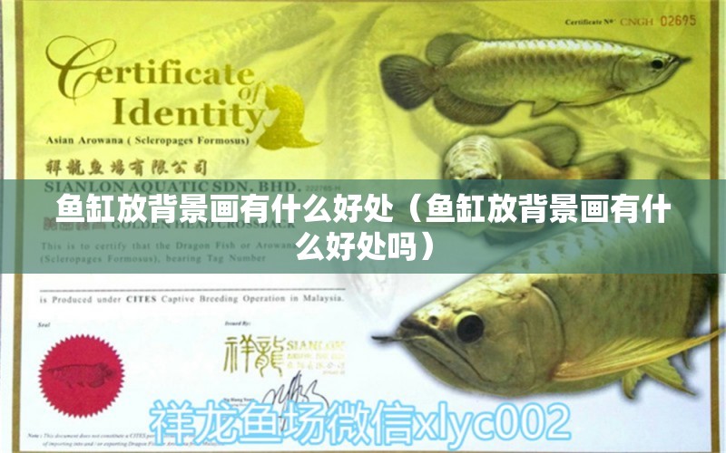 魚缸放背景畫有什么好處（魚缸放背景畫有什么好處嗎）