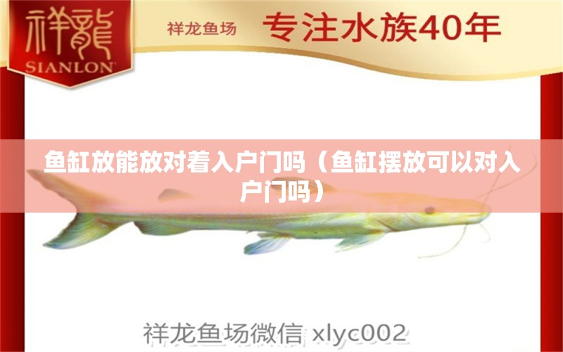 魚缸放能放對(duì)著入戶門嗎（魚缸擺放可以對(duì)入戶門嗎） 觀賞魚市場(chǎng)（混養(yǎng)魚）