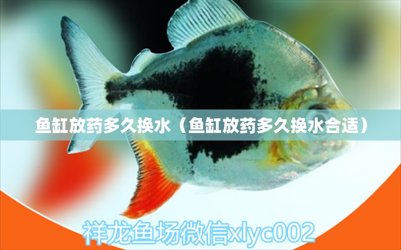 魚缸放藥多久換水（魚缸放藥多久換水合適）