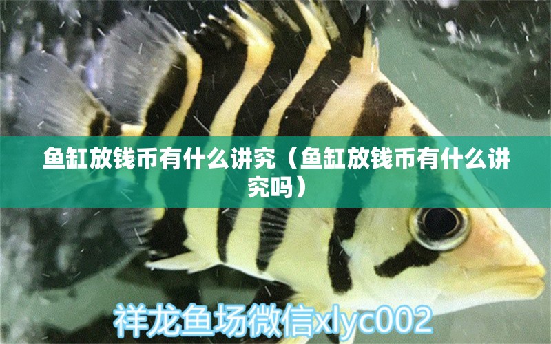 魚缸放錢幣有什么講究（魚缸放錢幣有什么講究嗎）