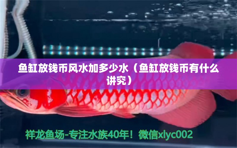 魚缸放錢幣風(fēng)水加多少水（魚缸放錢幣有什么講究）