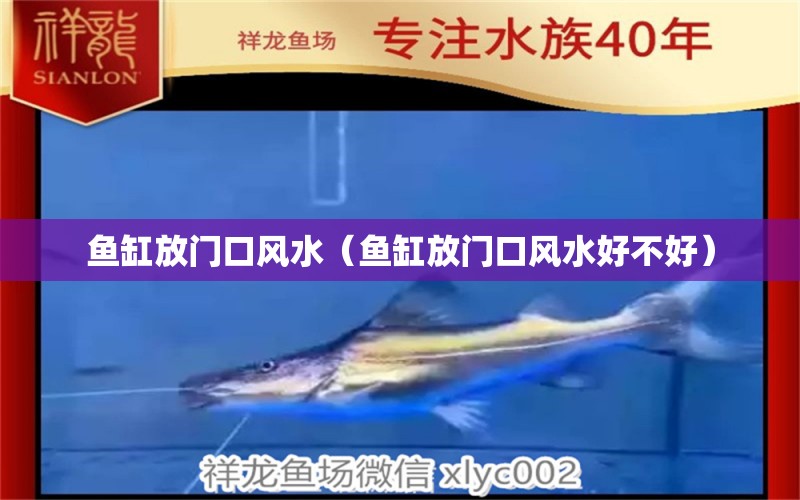 魚缸放門口風(fēng)水（魚缸放門口風(fēng)水好不好） 魚缸風(fēng)水