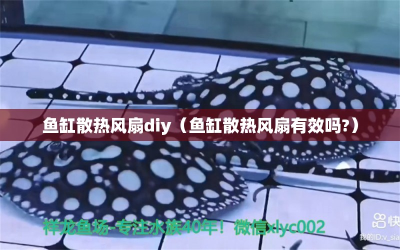 魚(yú)缸散熱風(fēng)扇diy（魚(yú)缸散熱風(fēng)扇有效嗎?）