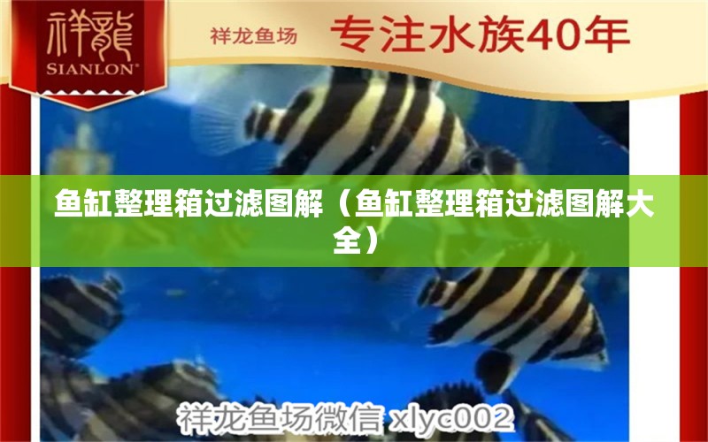 魚缸整理箱過濾圖解（魚缸整理箱過濾圖解大全）