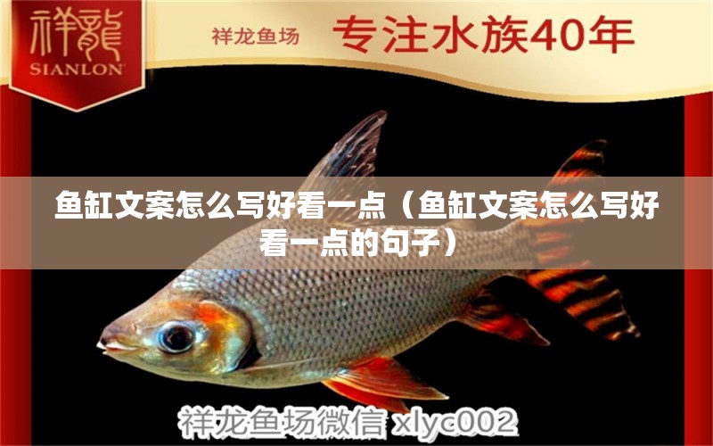 魚缸文案怎么寫好看一點(diǎn)（魚缸文案怎么寫好看一點(diǎn)的句子）