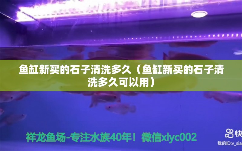 魚(yú)缸新買(mǎi)的石子清洗多久（魚(yú)缸新買(mǎi)的石子清洗多久可以用）