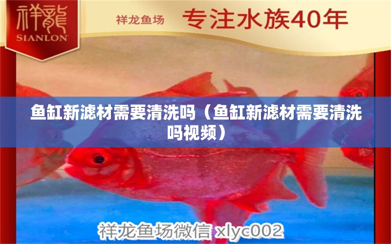 魚缸新濾材需要清洗嗎（魚缸新濾材需要清洗嗎視頻） 祥龍水族醫(yī)院