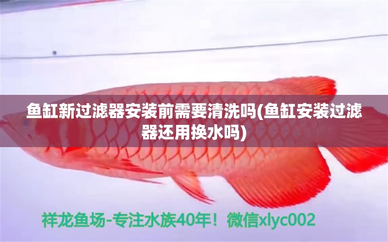 魚缸新過濾器安裝前需要清洗嗎(魚缸安裝過濾器還用換水嗎) 飛鳳魚