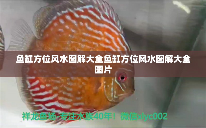 魚缸方位風(fēng)水圖解大全魚缸方位風(fēng)水圖解大全圖片