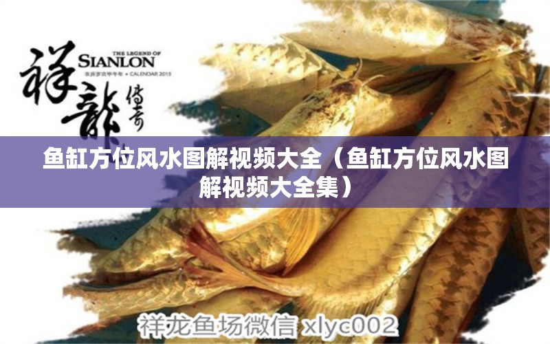 魚缸方位風水圖解視頻大全（魚缸方位風水圖解視頻大全集） 魚缸風水