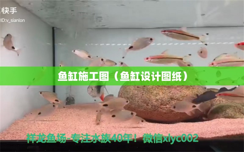 魚缸施工圖（魚缸設(shè)計圖紙） 埃及神仙魚