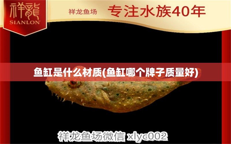 魚(yú)缸是什么材質(zhì)(魚(yú)缸哪個(gè)牌子質(zhì)量好) 球鯊魚(yú)